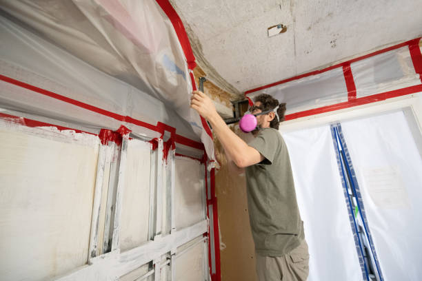 Professional Mold Inspection, Removal & Remediation in Riverbend, WA